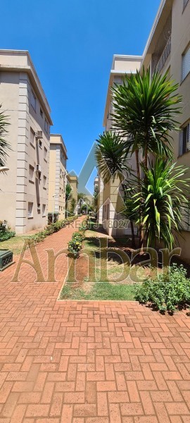 Ambar Imóveis | Imobiliária em Ribeirão Preto | Apartamento - Ipiranga - Ribeirão Preto
