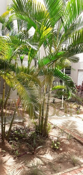 Ambar Imóveis | Imobiliária em Ribeirão Preto | Apartamento - Jardim Florestan Fernandes - Ribeirão Preto
