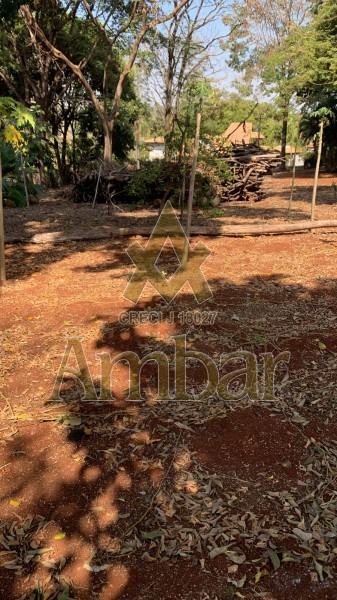 Chácara à venda e aluguel com 3 quartos, 9500m² - Foto 37