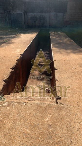 Foto: Galpão/Área - Lagoinha - Ribeirão Preto