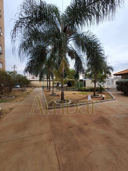 Ambar Imóveis | Imobiliária em Ribeirão Preto | Apartamento - Campos Eliseos - Ribeirão Preto
