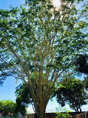 Ambar Imóveis | Imobiliária em Ribeirão Preto | Sítio - Portal do Ipês - Ribeirão Preto