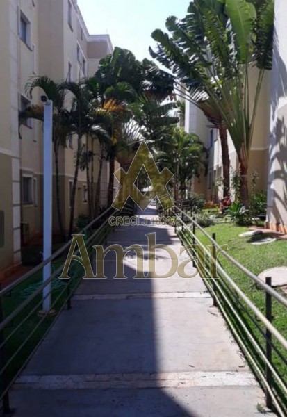 Ambar Imóveis | Imobiliária em Ribeirão Preto | Apartamento - Ribeirânia - Ribeirão Preto