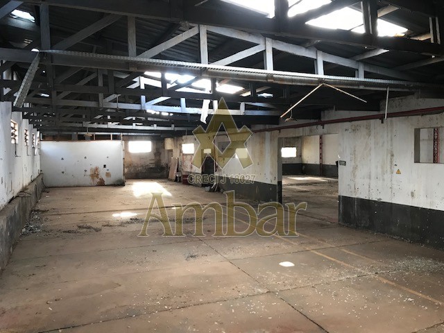 Ambar Imóveis | Imobiliária em Ribeirão Preto | Galpão/Área - Campos Eliseos - Ribeirão Preto