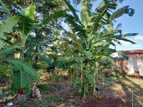 Ambar Imóveis | Imobiliária em Ribeirão Preto | Terreno - Ribeirânia - Ribeirão Preto