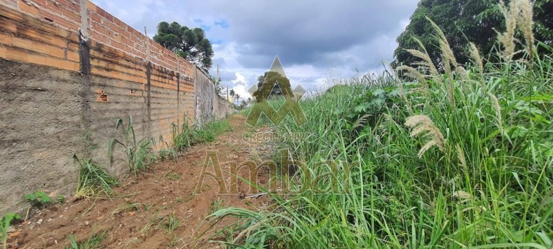 Ambar Imóveis | Imobiliária em Ribeirão Preto | Terreno - Santa Cruz - BATATAIS