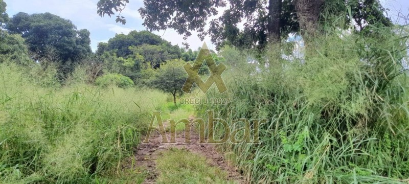Ambar Imóveis | Imobiliária em Ribeirão Preto | Terreno - Santa Cruz - BATATAIS