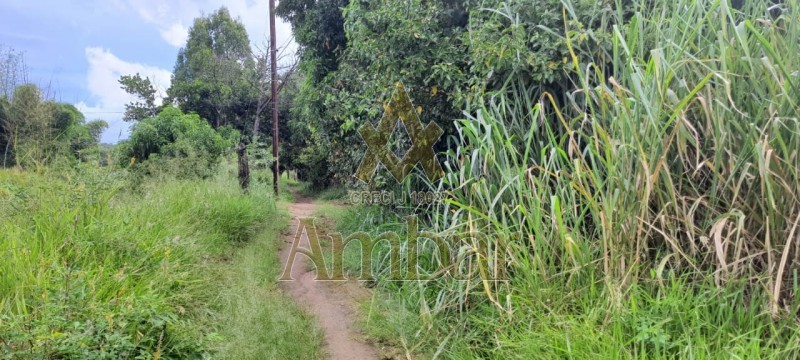 Ambar Imóveis | Imobiliária em Ribeirão Preto | Terreno - Santa Cruz - BATATAIS