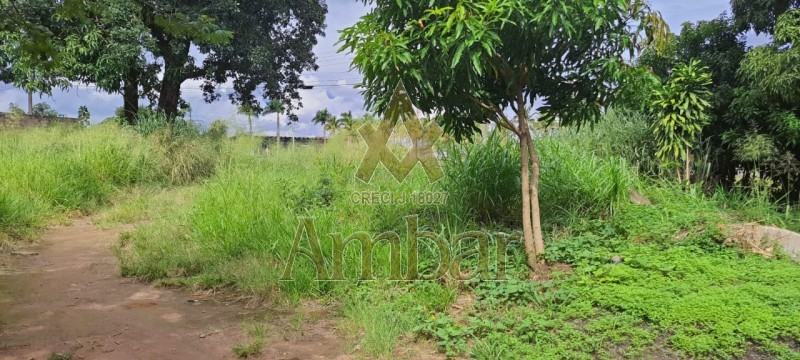 Ambar Imóveis | Imobiliária em Ribeirão Preto | Terreno - Santa Cruz - BATATAIS