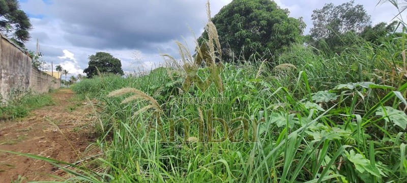 Ambar Imóveis | Imobiliária em Ribeirão Preto | Terreno - Santa Cruz - BATATAIS