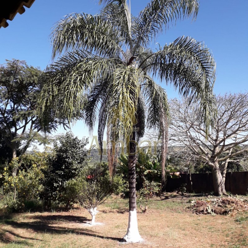 Ambar Imóveis | Imobiliária em Ribeirão Preto | Chácara - Centro - São Sebastião do Paraiso