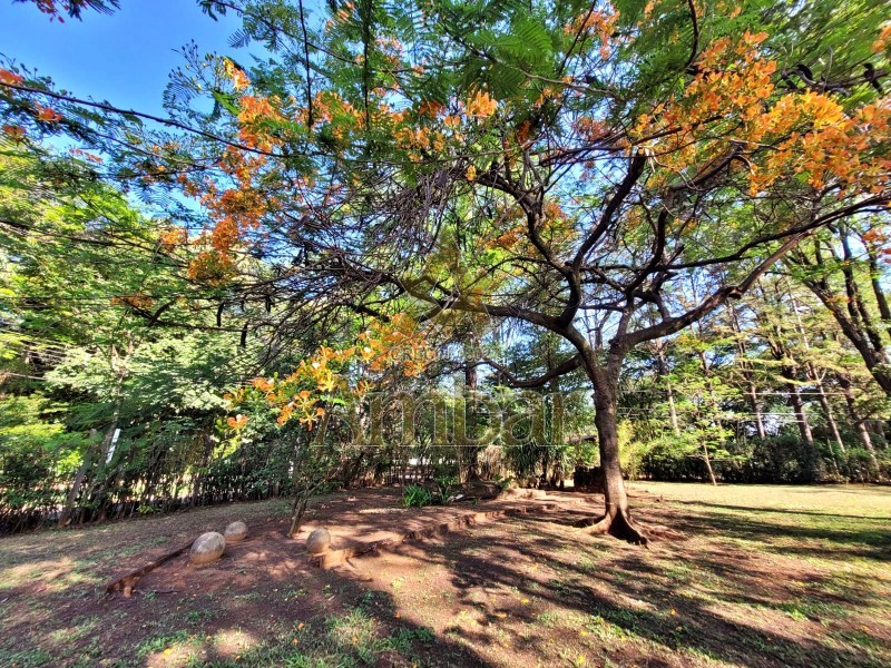 Chácara para alugar com 3 quartos, 4770m² - Foto 55