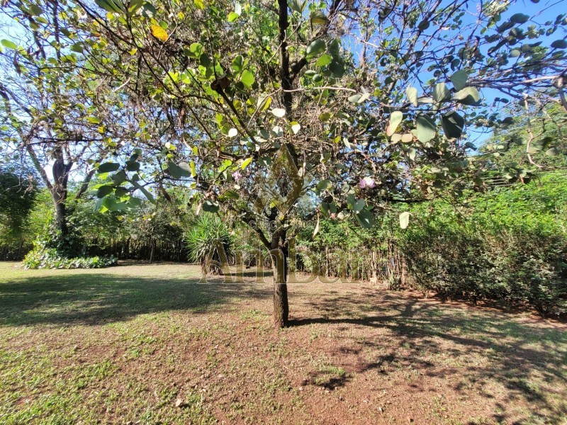 Chácara para alugar com 3 quartos, 4770m² - Foto 57