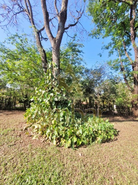 Chácara para alugar com 3 quartos, 4770m² - Foto 41