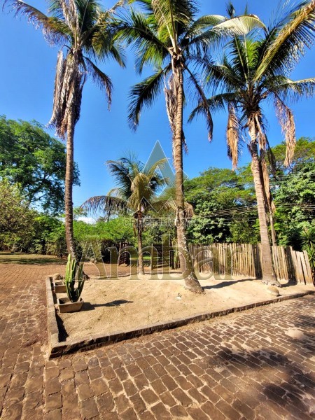 Chácara para alugar com 3 quartos, 4770m² - Foto 36