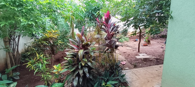 Ambar Imóveis | Imobiliária em Ribeirão Preto | Casa - Portinari - Ribeirão Preto
