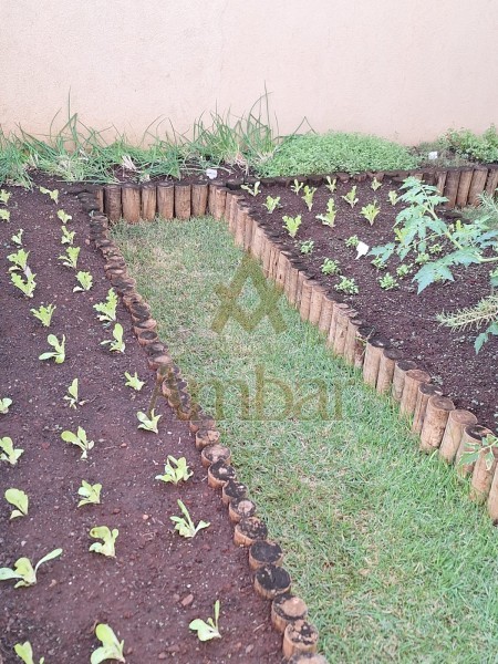 Ambar Imóveis | Imobiliária em Ribeirão Preto | Apartamento - Santa Cruz do José Jacques - Ribeirão Preto