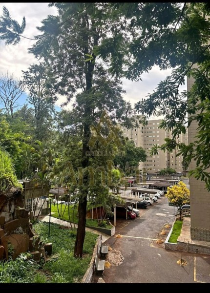 Ambar Imóveis | Imobiliária em Ribeirão Preto | Apartamento - Jardim Paulista - Ribeirão Preto