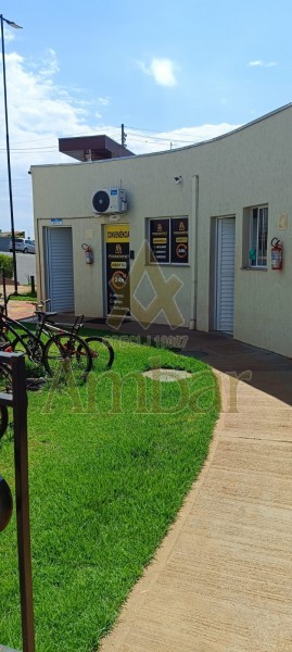 Ambar Imóveis | Imobiliária em Ribeirão Preto | Apartamento - Jardim Emília - Ribeirão Preto