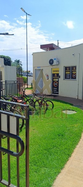 Ambar Imóveis | Imobiliária em Ribeirão Preto | Apartamento - Jardim Emília - Ribeirão Preto