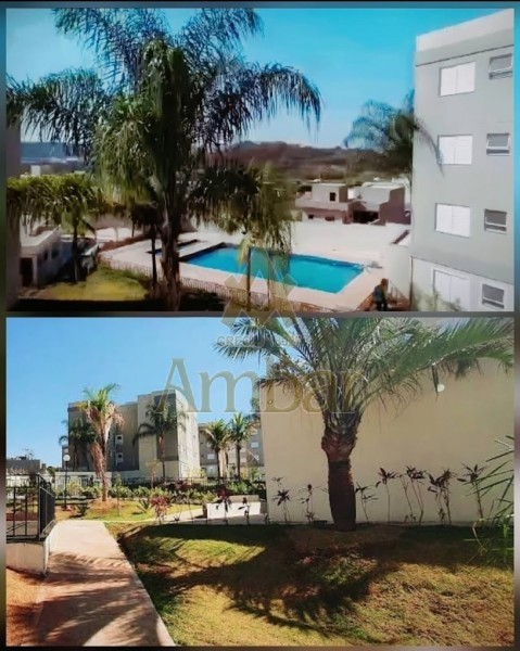 Ambar Imóveis | Imobiliária em Ribeirão Preto | Apartamento - Recreio das Acacias - Ribeirão Preto