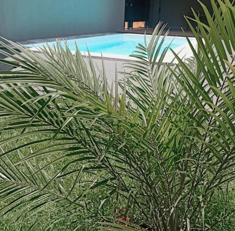 Ambar Imóveis | Imobiliária em Ribeirão Preto | Casa - pq das gaivotas - Ribeirão Preto