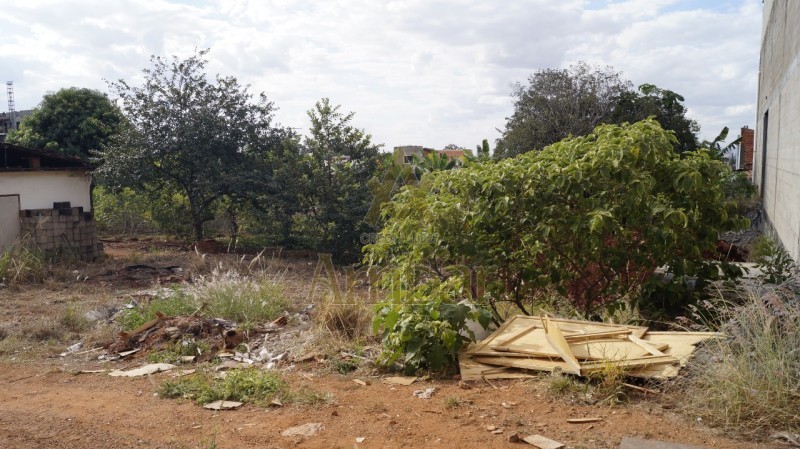 Ambar Imóveis | Imobiliária em Ribeirão Preto | Galpão/Área - Alto do Ipiranga - Ribeirão Preto