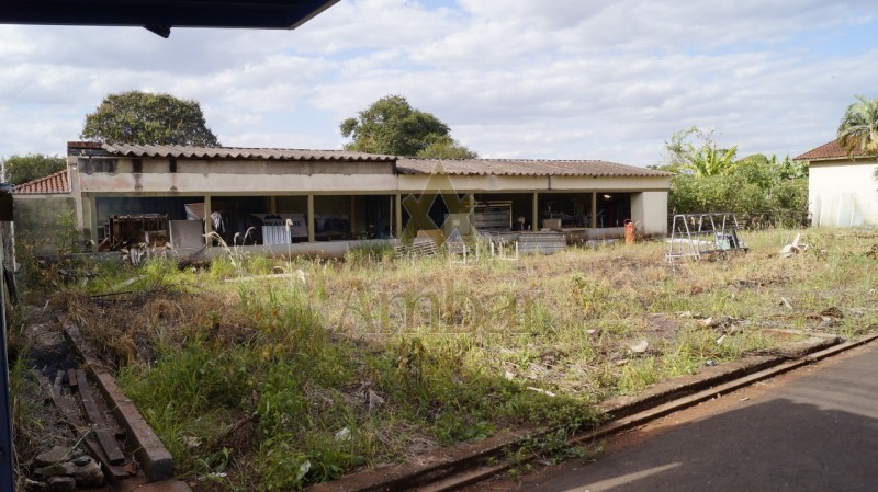 Ambar Imóveis | Imobiliária em Ribeirão Preto | Galpão/Área - Alto do Ipiranga - Ribeirão Preto