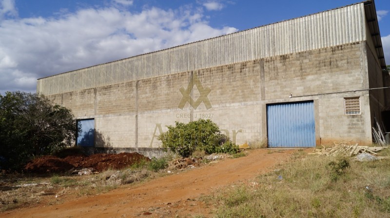 Foto: Galpão/Área - Alto do Ipiranga - Ribeirão Preto