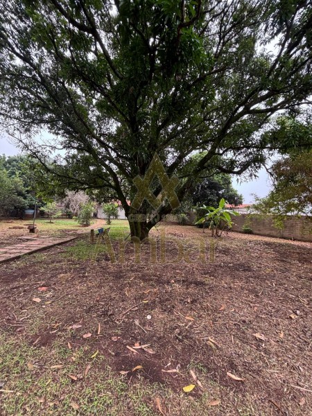 Ambar Imóveis | Imobiliária em Ribeirão Preto | Chácara - Itanhangá Chácaras de Recreio - Ribeirão Preto