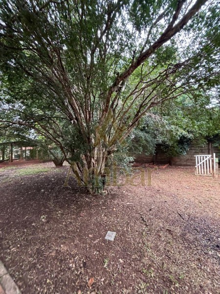 Ambar Imóveis | Imobiliária em Ribeirão Preto | Chácara - Itanhangá Chácaras de Recreio - Ribeirão Preto