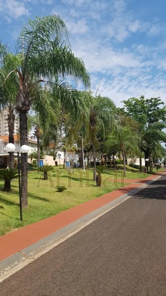 Ambar Imóveis | Imobiliária em Ribeirão Preto | Casa de Condomínio - Santa Cruz do José Jacques - Ribeirão Preto