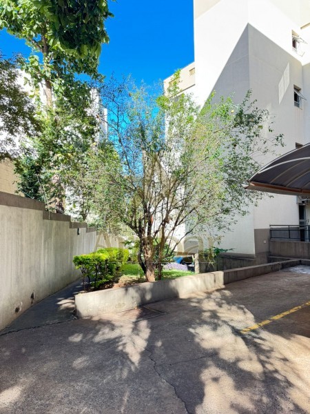 Ambar Imóveis | Imobiliária em Ribeirão Preto | Apartamento - Jardim Palma Travassos - Ribeirão Preto