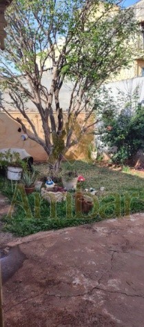 Ambar Imóveis | Imobiliária em Ribeirão Preto | Casa - Campos Eliseos - Ribeirão Preto