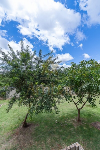 Ambar Imóveis | Imobiliária em Ribeirão Preto | Apartamento - RESERVA REAL - Ribeirão Preto