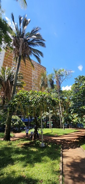 Ambar Imóveis | Imobiliária em Ribeirão Preto | Apartamento - Centro - Ribeirão Preto