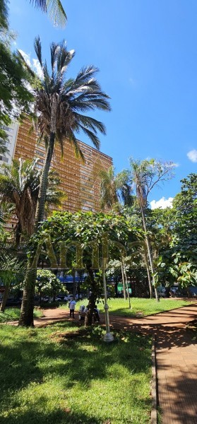 Ambar Imóveis | Imobiliária em Ribeirão Preto | Apartamento - Centro - Ribeirão Preto