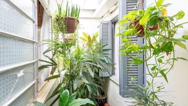 Ambar Imóveis | Imobiliária em Ribeirão Preto | Casa - Ipiranga - Ribeirão Preto