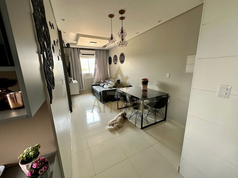 Ambar Imóveis | Imobiliária em Ribeirão Preto | Apartamento - Manoel Penna - Ribeirão Preto