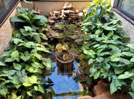 Ambar Imóveis | Imobiliária em Ribeirão Preto | Casa - Ribeirânia - Ribeirão Preto