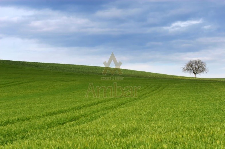Foto: Terreno - 	LTM STA MARTA - Ribeirão Preto
