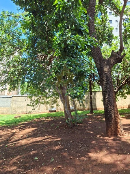 Ambar Imóveis | Imobiliária em Ribeirão Preto | Apartamento - Sumarezinho - Ribeirão Preto