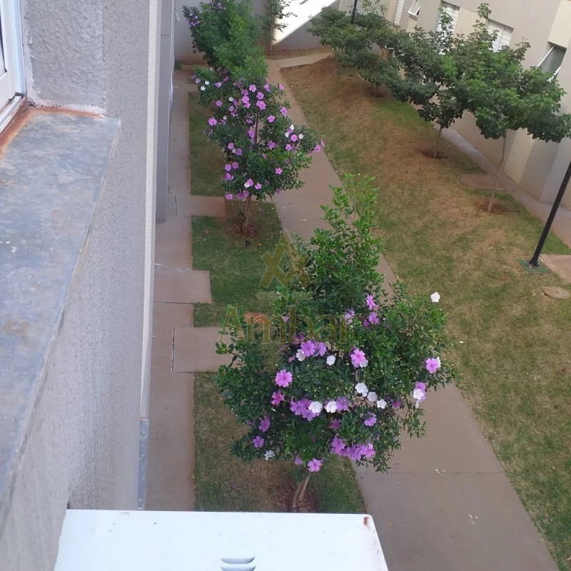 Ambar Imóveis | Imobiliária em Ribeirão Preto | Apartamento - Vila Abranches - Ribeirão Preto