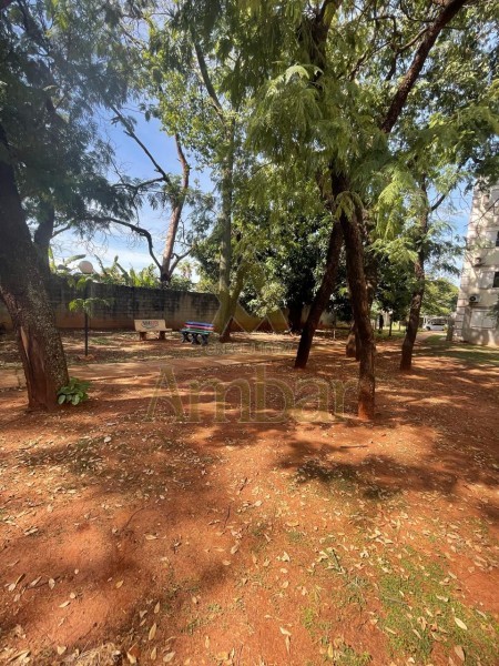 Ambar Imóveis | Imobiliária em Ribeirão Preto | Apartamento - Jardim Jandaia - Ribeirão Preto