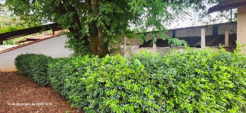 Ambar Imóveis | Imobiliária em Ribeirão Preto | Chácara - Bonfim Paulista - Ribeirão Preto