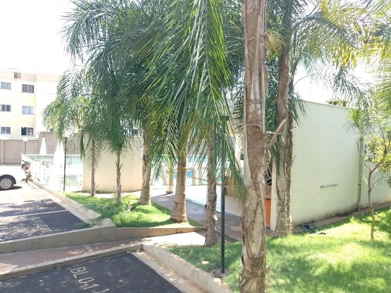 Ambar Imóveis | Imobiliária em Ribeirão Preto | Apartamento - Castelo Branco - Ribeirão Preto