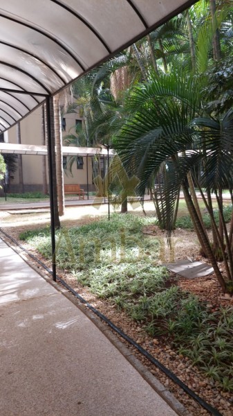 Ambar Imóveis | Imobiliária em Ribeirão Preto | Apartamento - Jardim Nova Aliança - Ribeirão Preto