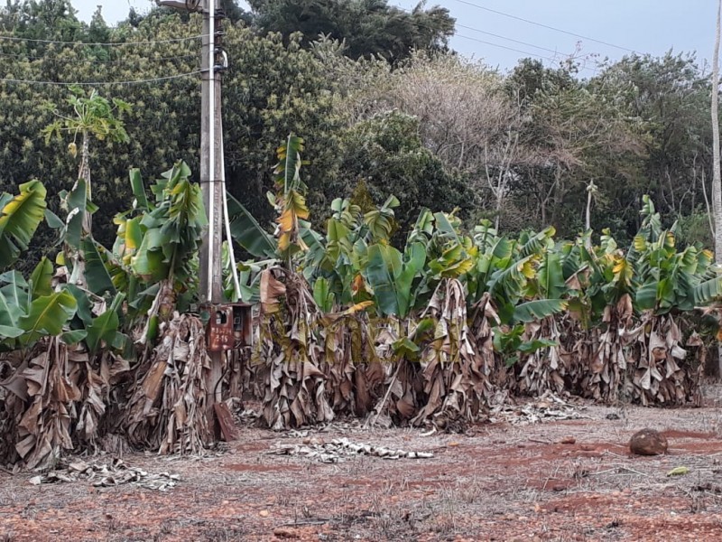 Ambar Imóveis | Imobiliária em Ribeirão Preto | Área - Planalto Verde - Ribeirão Preto